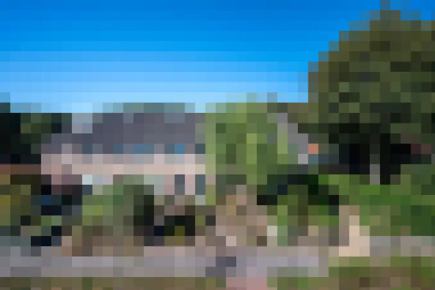 Boerhoorn 3 Glimmen thumbnail 6