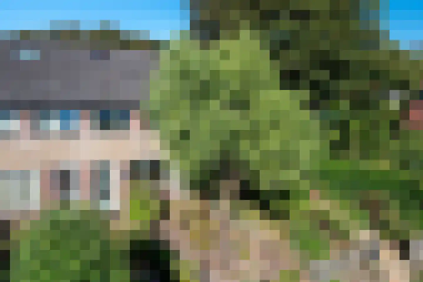 Boerhoorn 3 Glimmen thumbnail 7