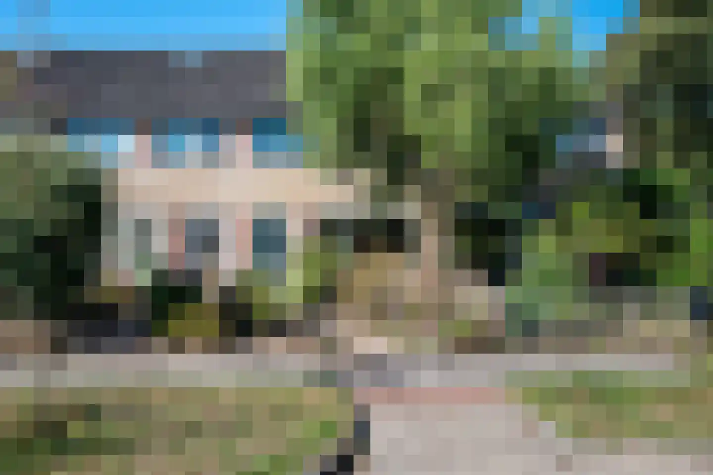 Boerhoorn 3 Glimmen thumbnail 9