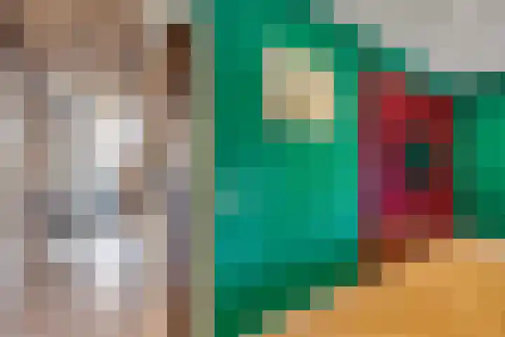 Boerhoorn 4 Oosterhesselen thumbnail 10