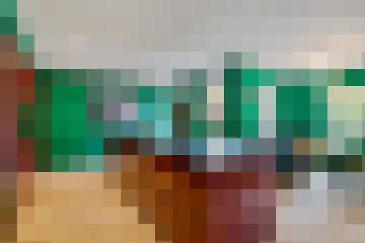 Boerhoorn 4 Oosterhesselen thumbnail 11