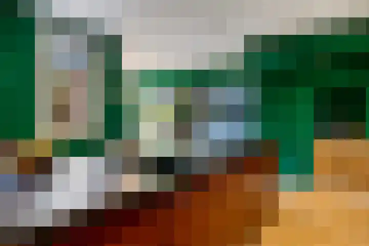 Boerhoorn 4 Oosterhesselen thumbnail 13