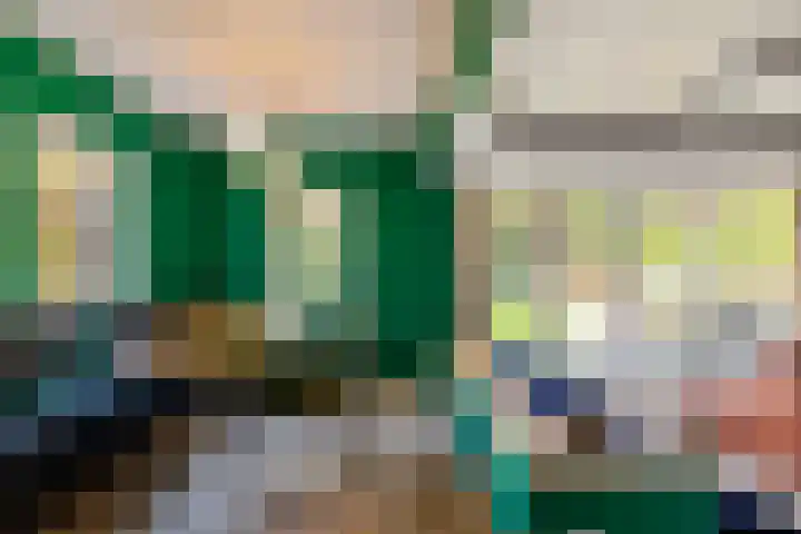 Boerhoorn 4 Oosterhesselen thumbnail 17