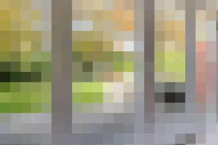Boerhoorn 4 Oosterhesselen thumbnail 27