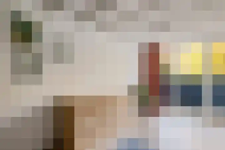 Boerhoorn 4 Oosterhesselen thumbnail 33