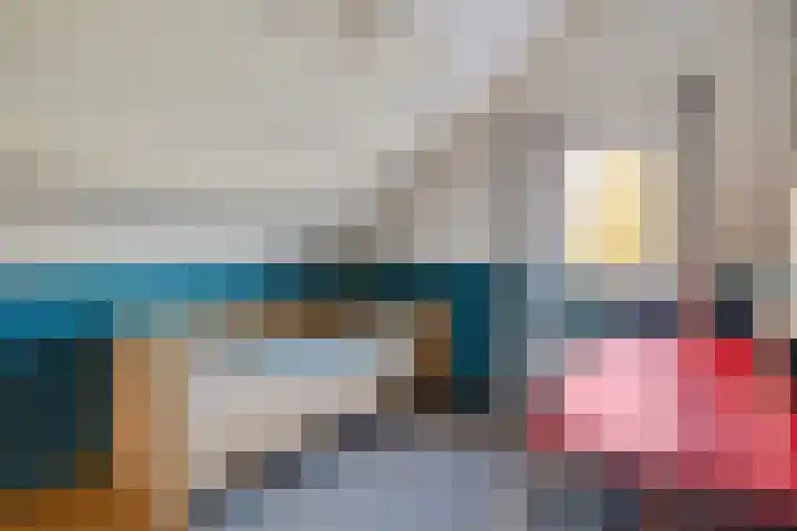 Boerhoorn 4 Oosterhesselen thumbnail 39