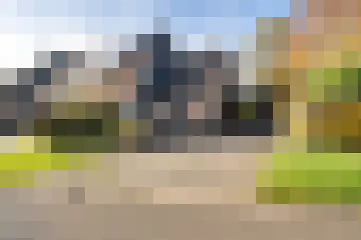 Boerhoorn 4 Oosterhesselen thumbnail 5