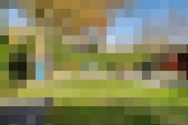 Boerhoorn 4 Oosterhesselen thumbnail 51