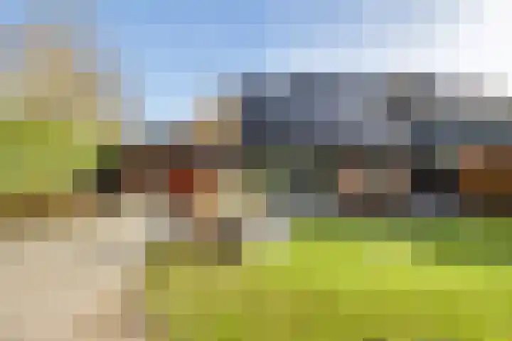 Boerhoorn 4 Oosterhesselen thumbnail 54