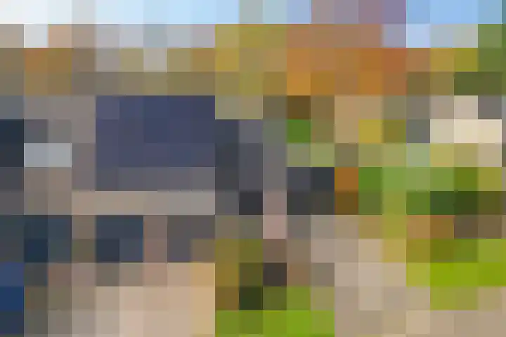 Boerhoorn 4 Oosterhesselen thumbnail 56