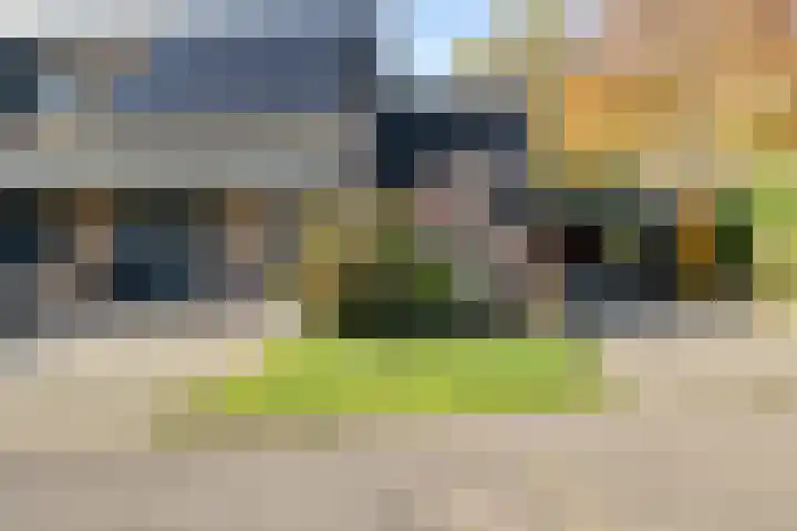 Boerhoorn 4 Oosterhesselen thumbnail 6