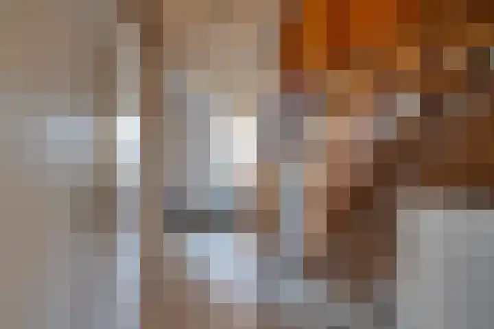 Boerhoorn 4 Oosterhesselen thumbnail 8