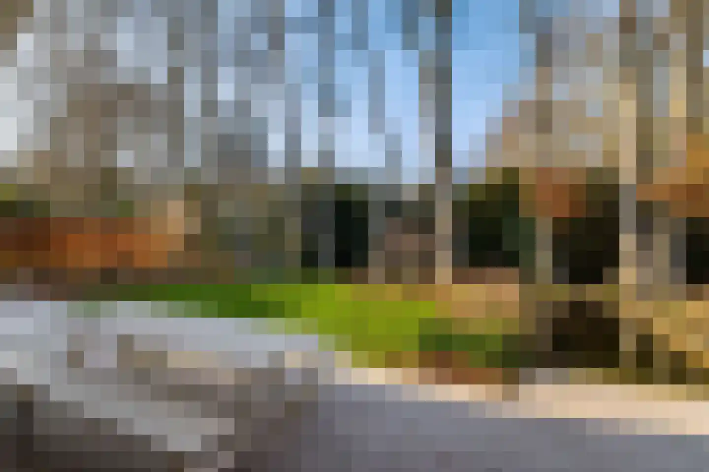Boerhoorn 6 Glimmen thumbnail 11
