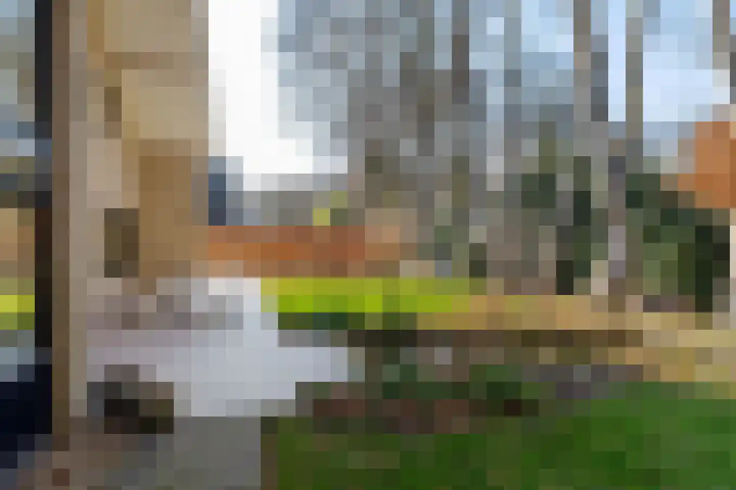 Boerhoorn 6 Glimmen thumbnail 12