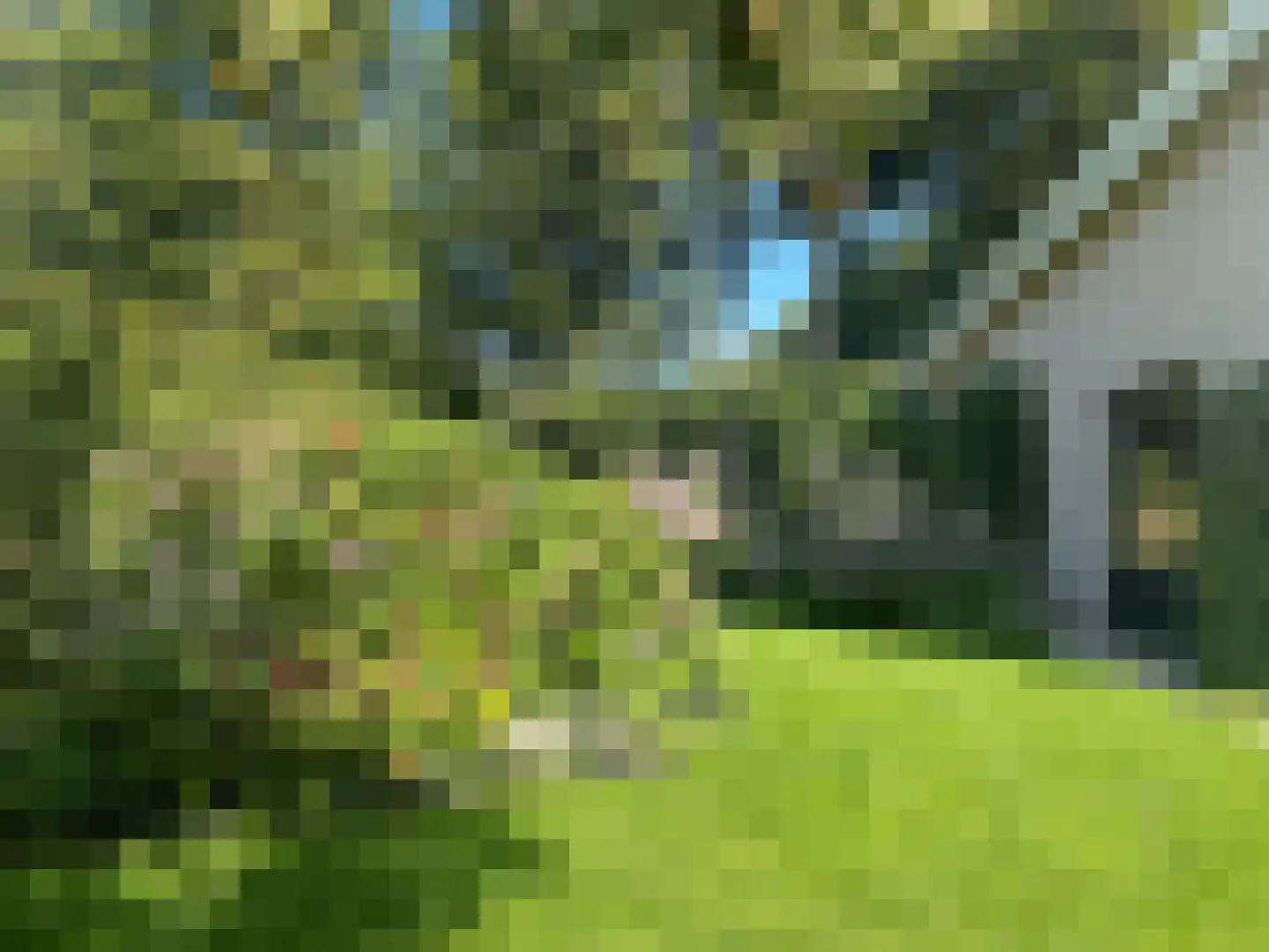 Boerhoorn 6 Glimmen thumbnail 15