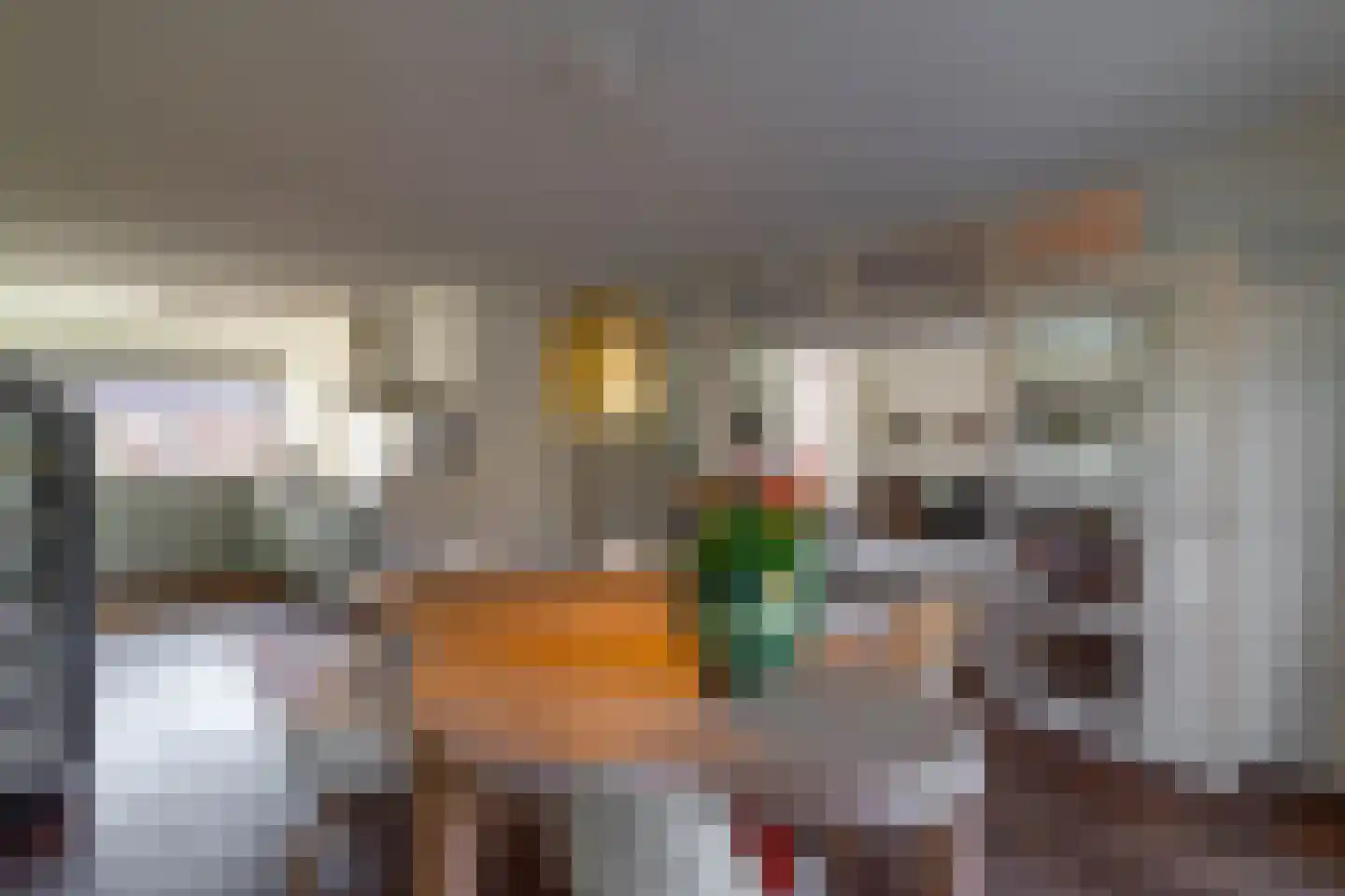 Boerhoorn 6 Glimmen thumbnail 24