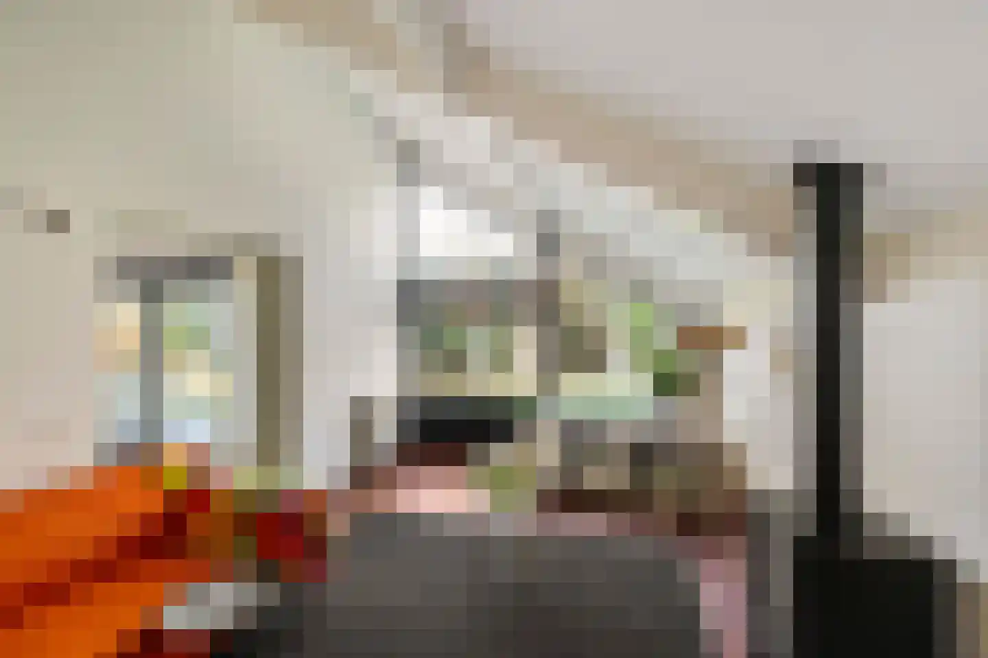 Boerhoorn 6 Glimmen thumbnail 26