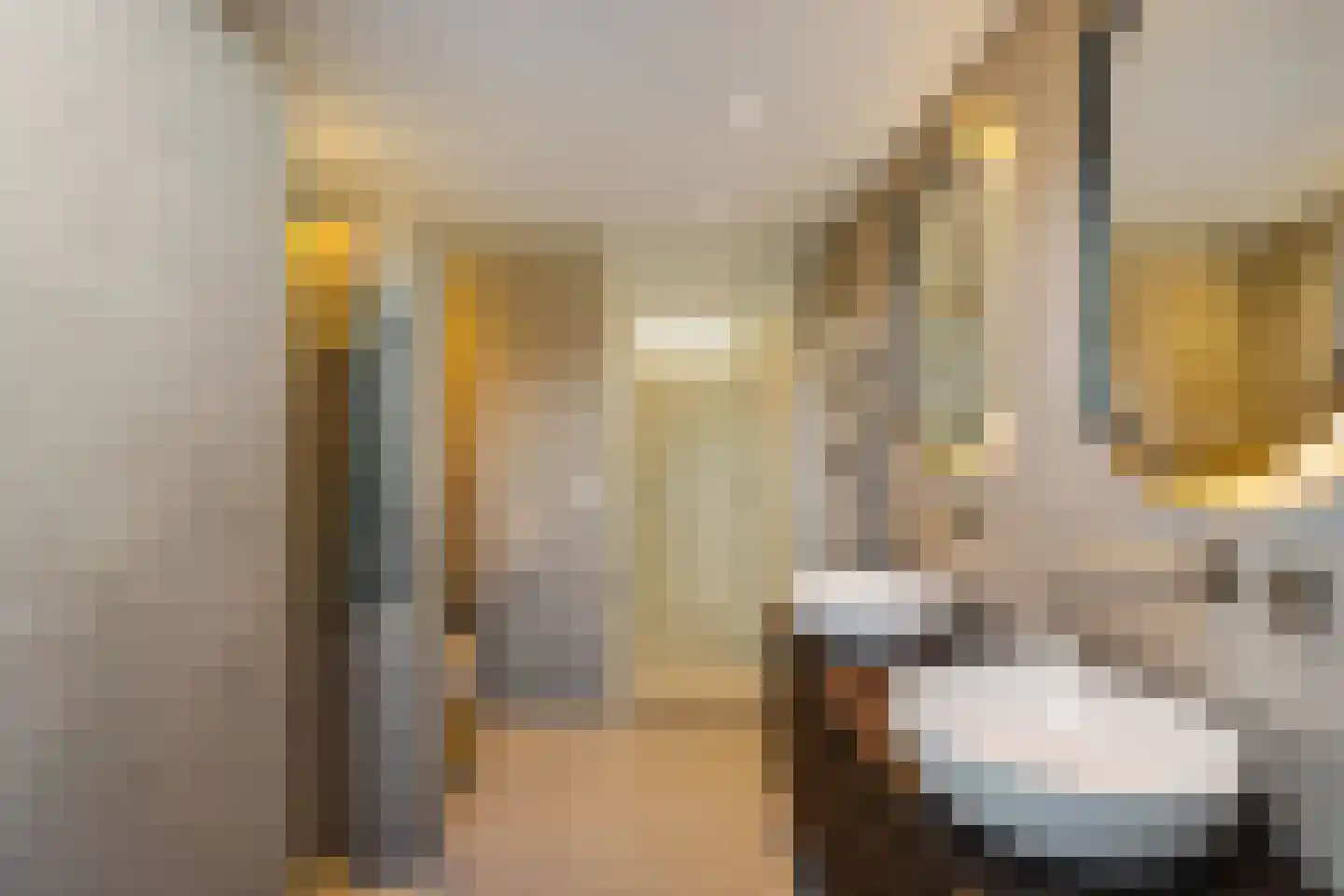 Boerhoorn 6 Glimmen thumbnail 37