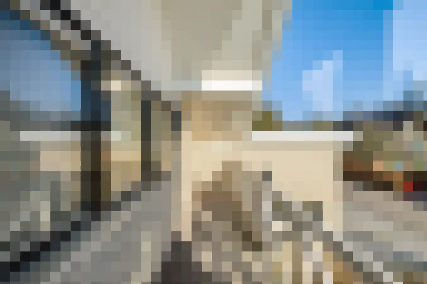 Boerhoorn 6 Glimmen thumbnail 38