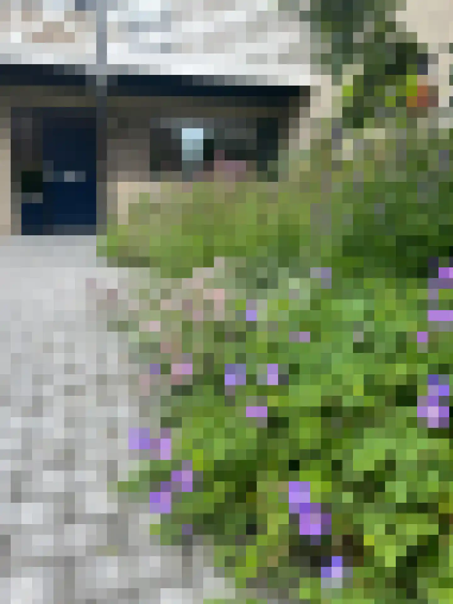Boerhoorn 6 Glimmen thumbnail 5