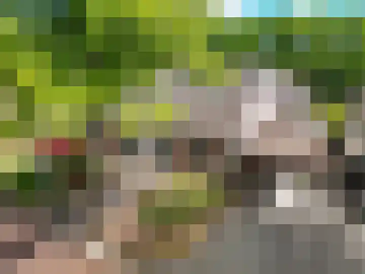 Boerhoorn 70 in Oosterhesselen