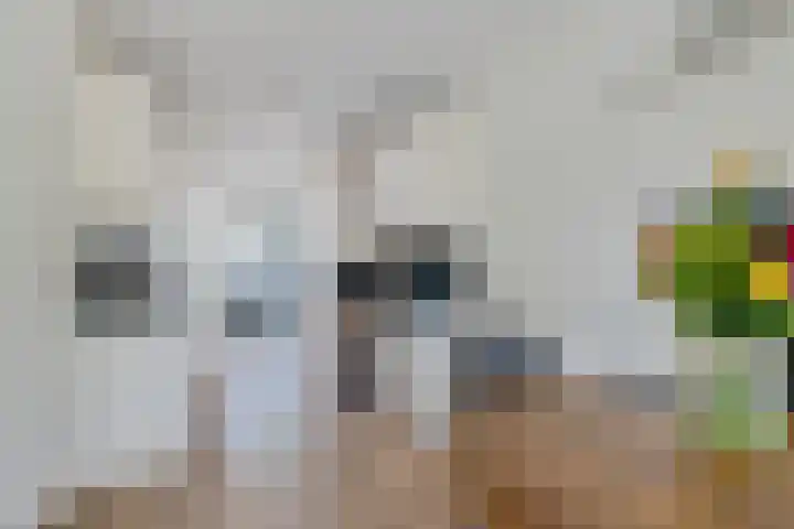 Boerhoorn 70 Oosterhesselen thumbnail 10