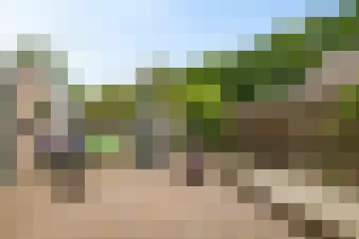 Boerhoorn 70 Oosterhesselen thumbnail 32