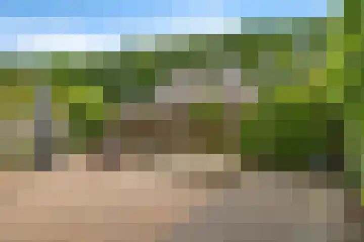 Boerhoorn 70 Oosterhesselen thumbnail 33
