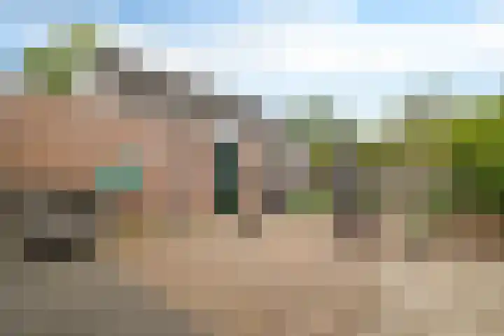 Boerhoorn 70 Oosterhesselen thumbnail 34