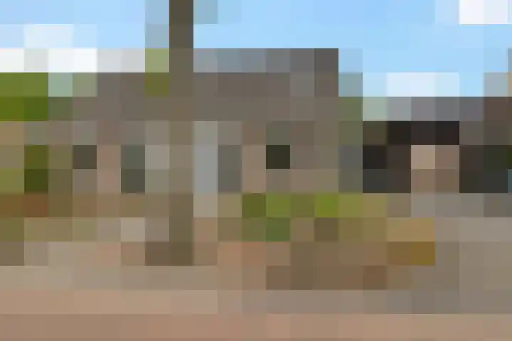 Boerhoorn 70 Oosterhesselen thumbnail 35