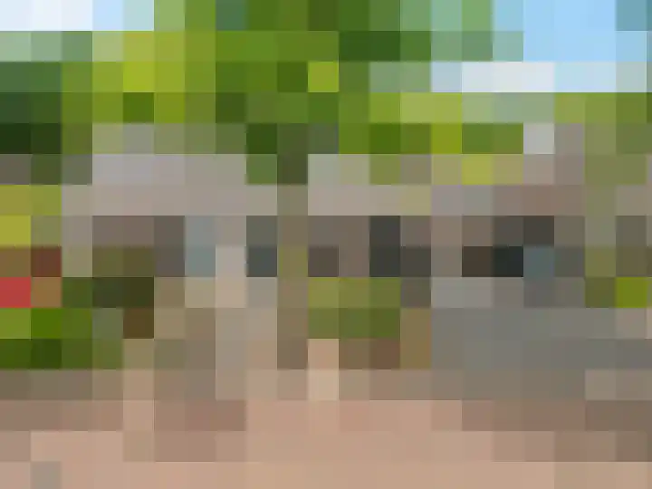 Boerhoorn 70 Oosterhesselen thumbnail 4