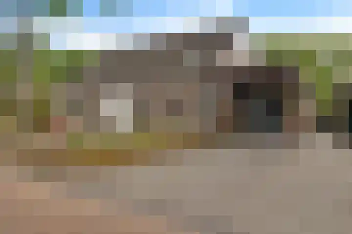 Boerhoorn 70 Oosterhesselen thumbnail 5