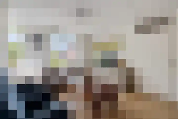 Boerhoorn 70 Oosterhesselen thumbnail 9