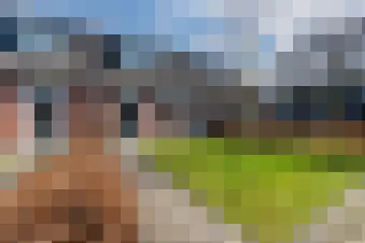 Boerhoorn 9 in Vries