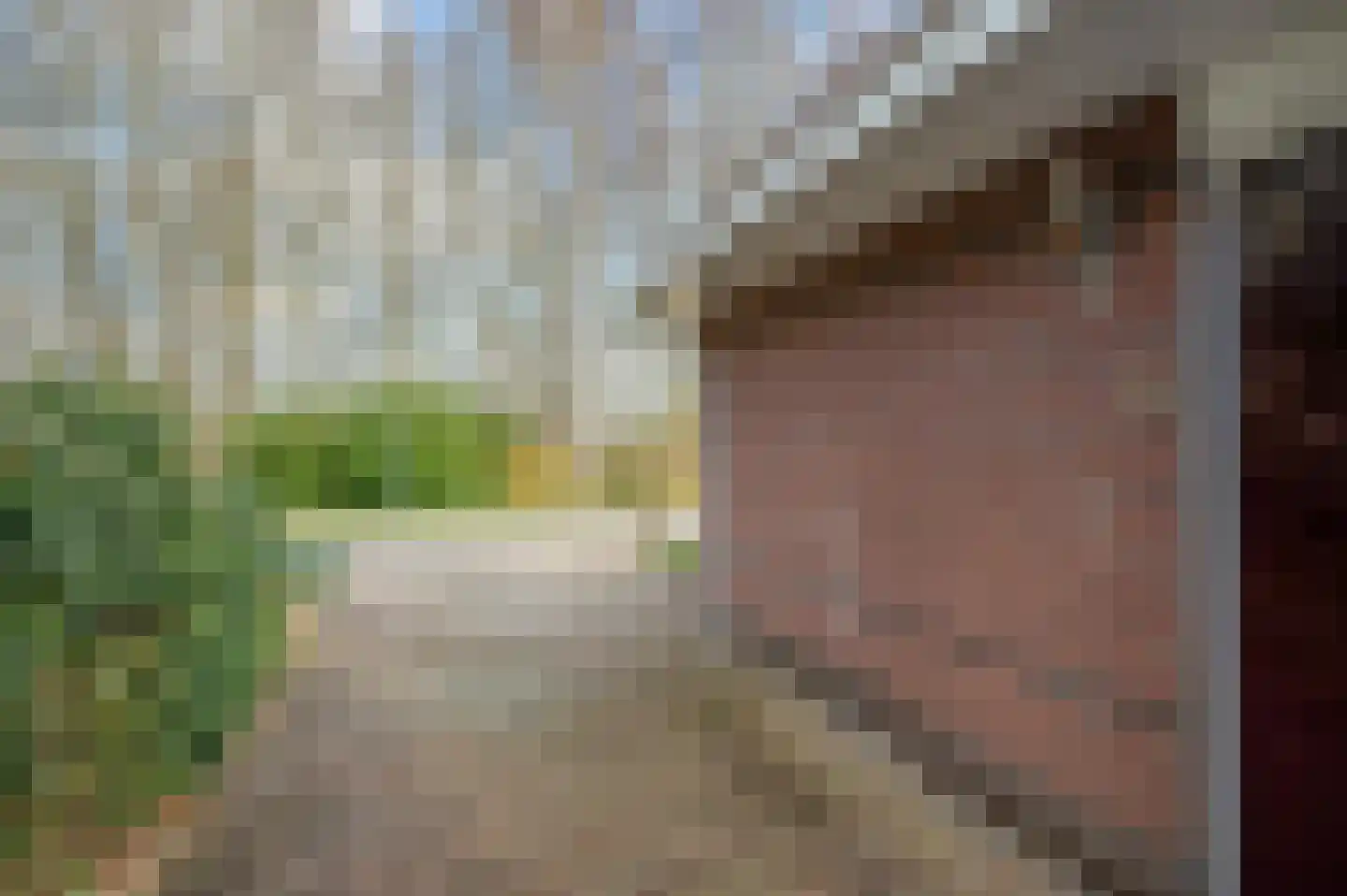 Boerhoorn 9 Vlagtwedde thumbnail 10