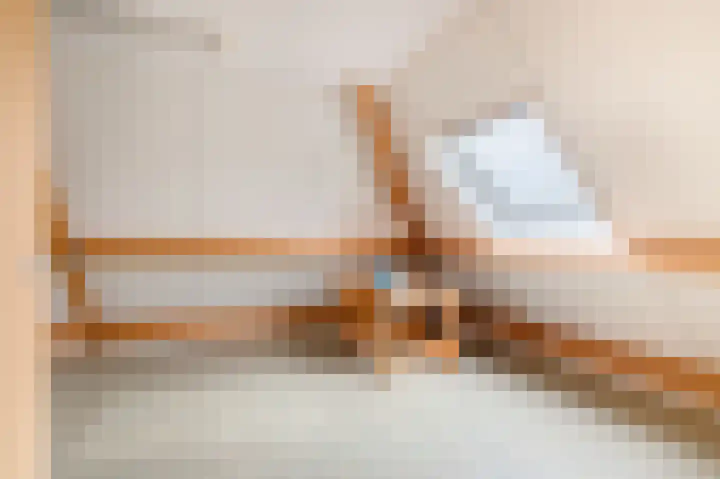 Boerhoorn 9 Vlagtwedde thumbnail 32