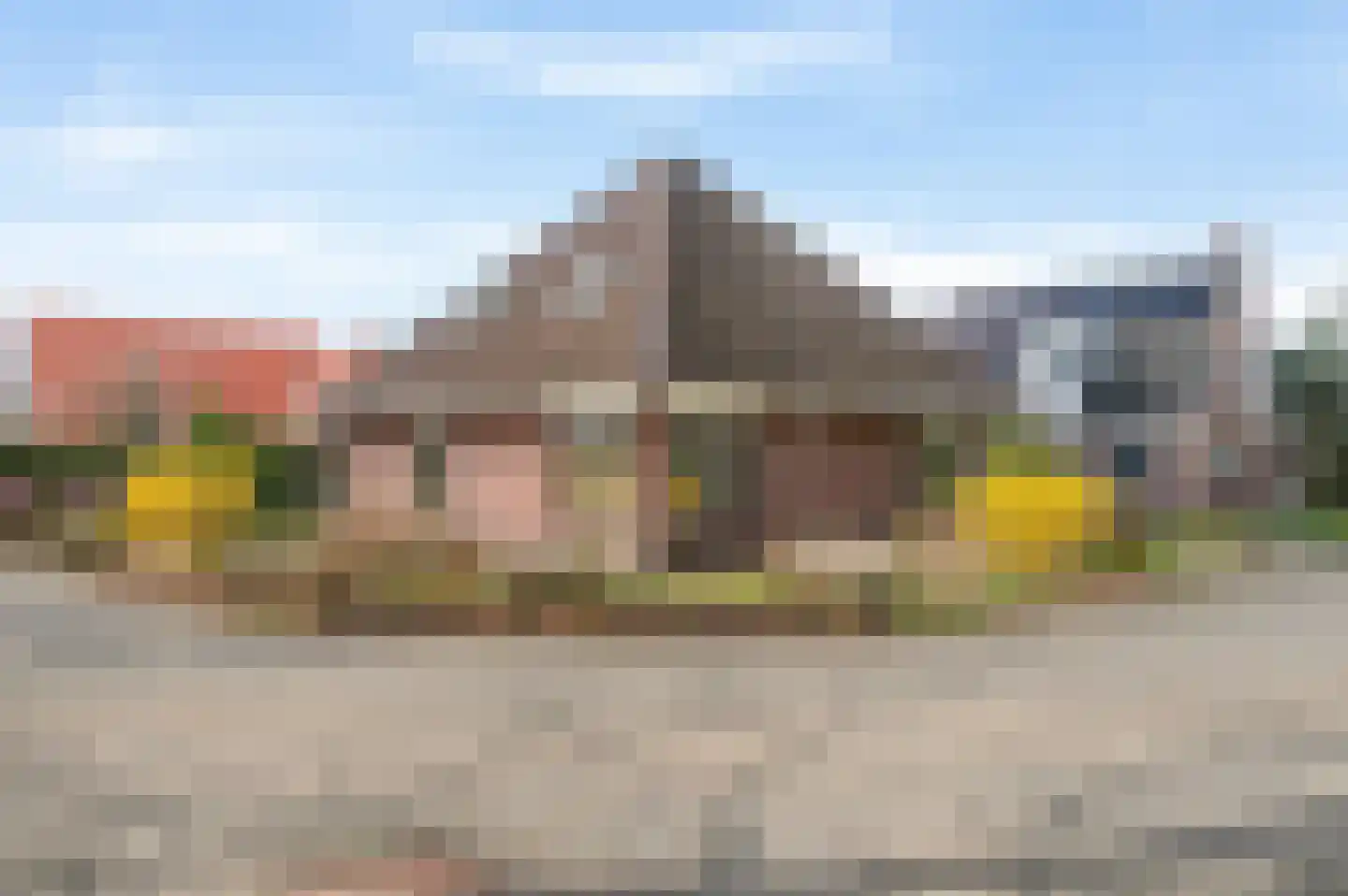Boerhoorn 9 Vlagtwedde thumbnail 4