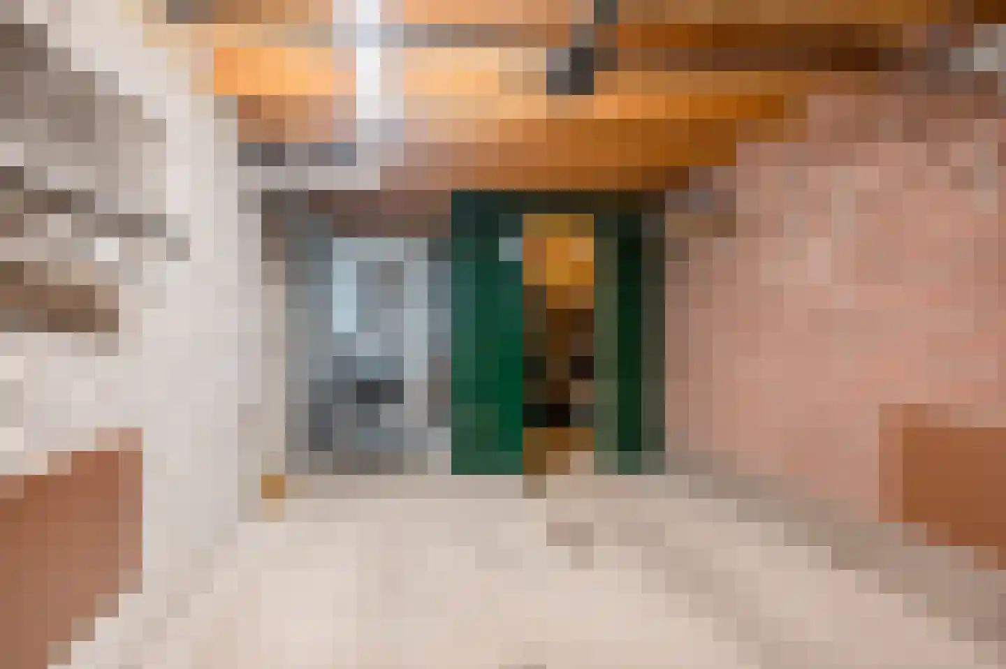 Boerhoorn 9 Vlagtwedde thumbnail 43
