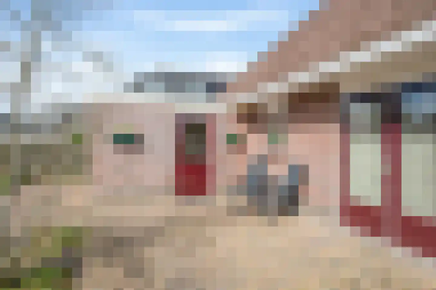 Boerhoorn 9 Vlagtwedde thumbnail 45