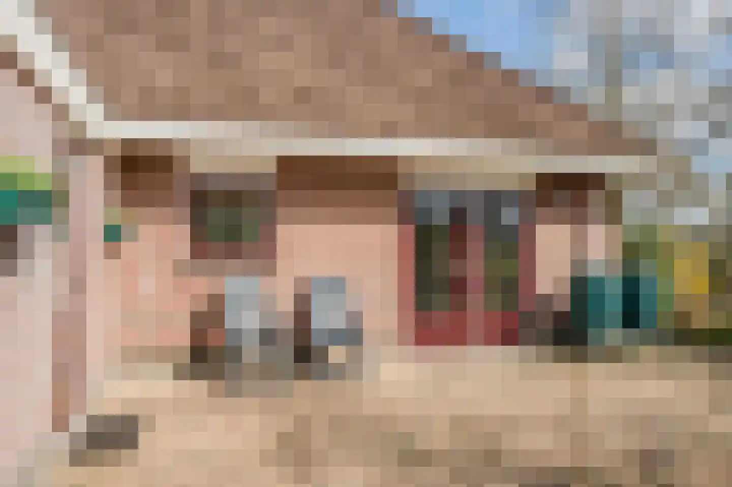 Boerhoorn 9 Vlagtwedde thumbnail 46