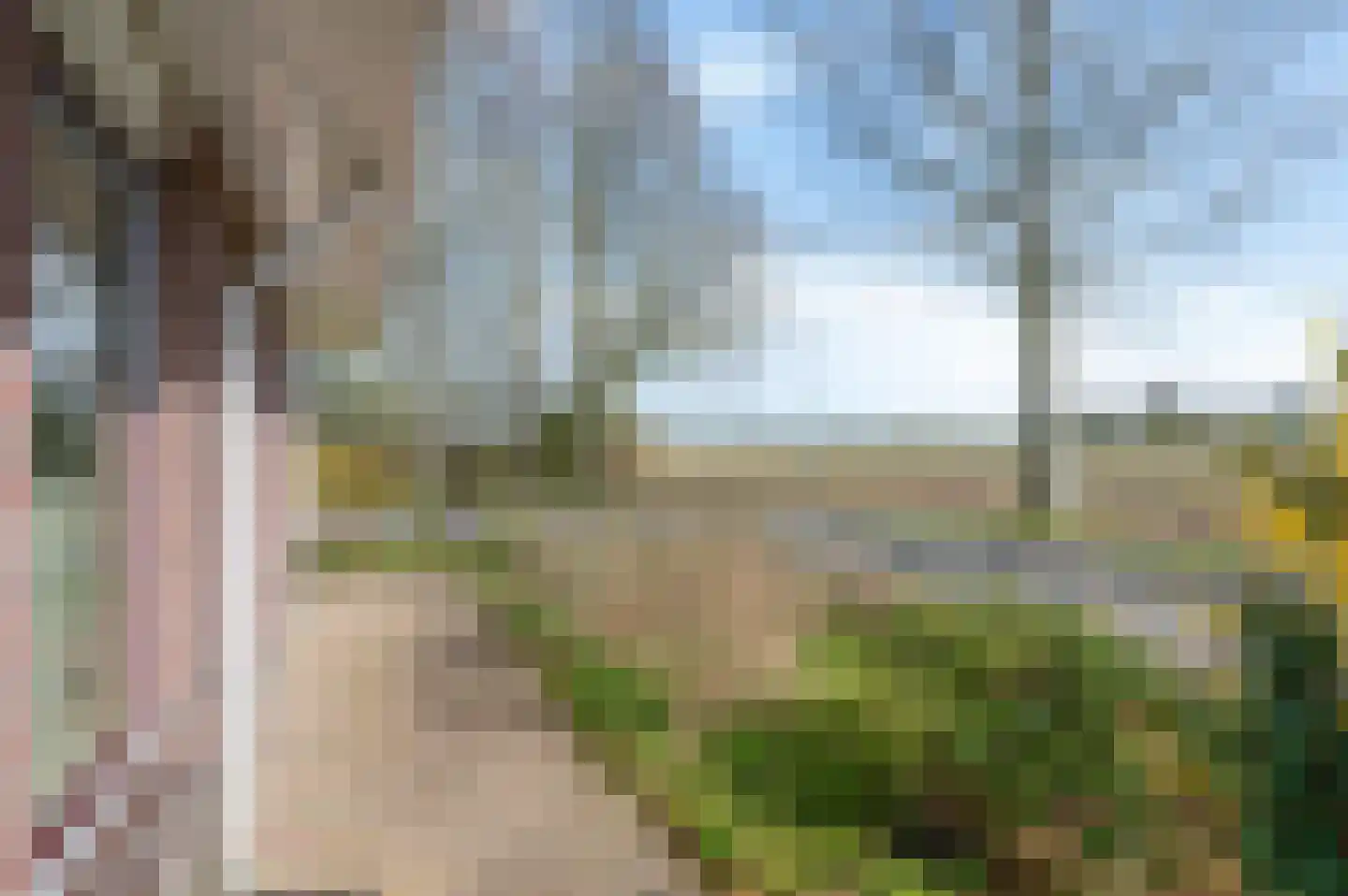 Boerhoorn 9 Vlagtwedde thumbnail 48