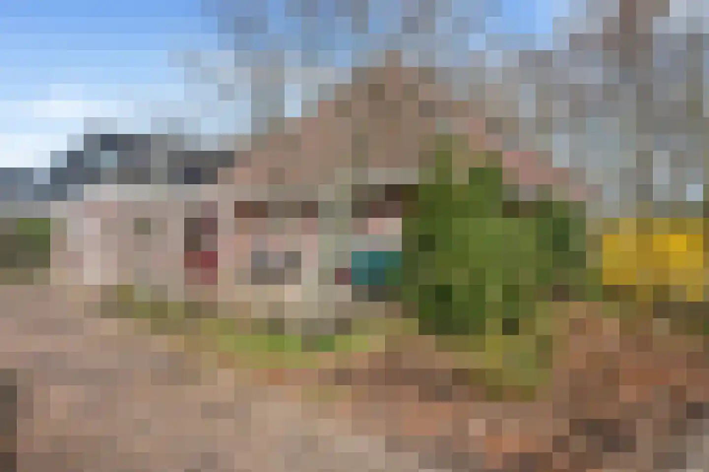 Boerhoorn 9 Vlagtwedde thumbnail 49