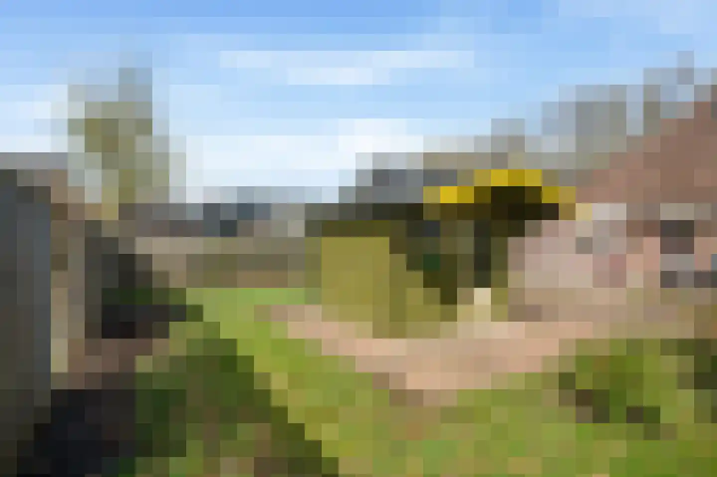 Boerhoorn 9 Vlagtwedde thumbnail 51
