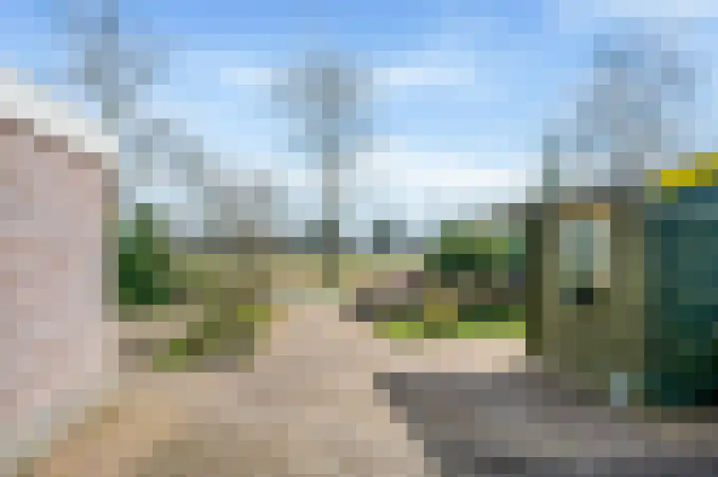 Boerhoorn 9 Vlagtwedde thumbnail 53