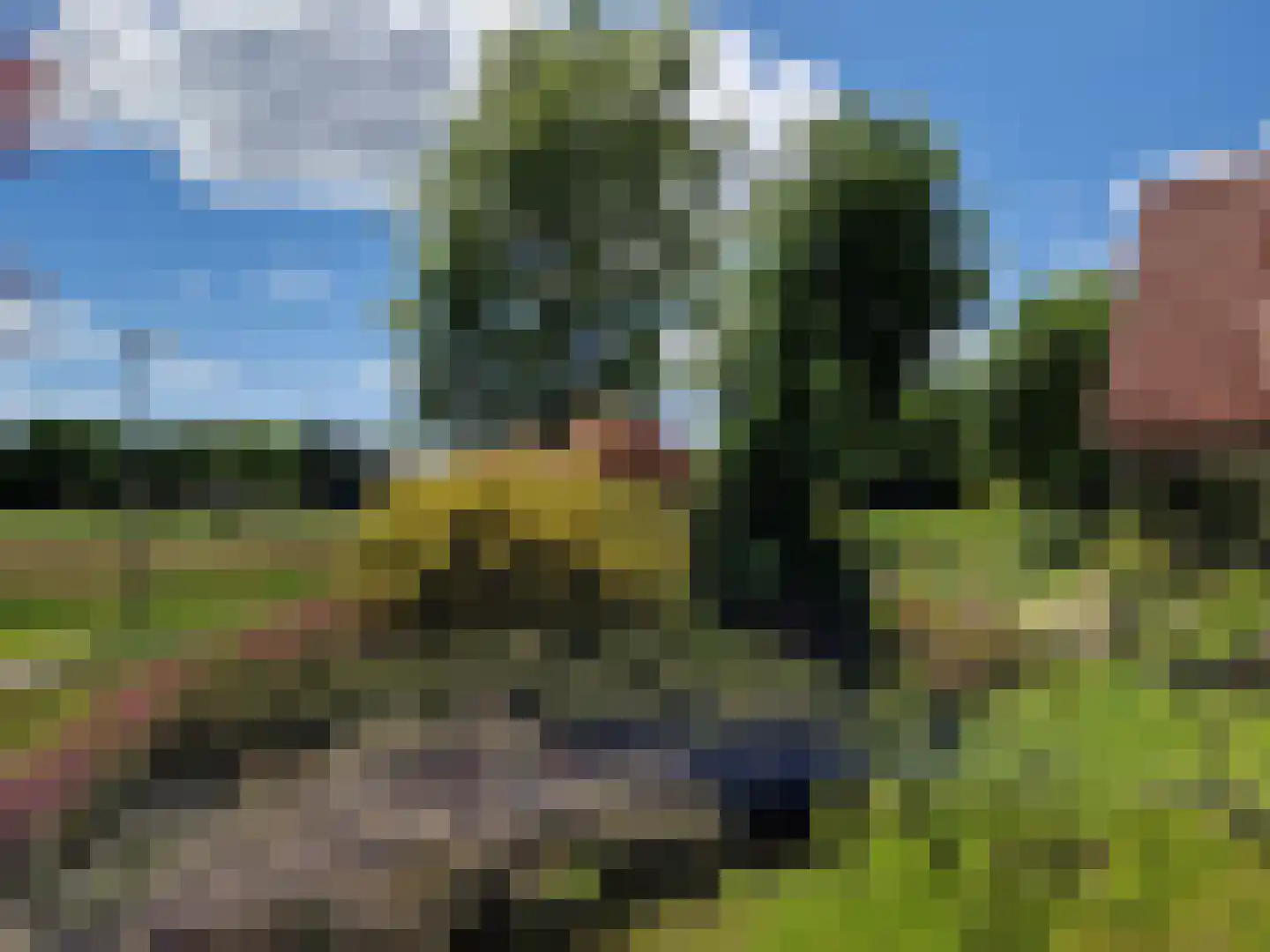 Boerhoorn 9 Vlagtwedde thumbnail 55