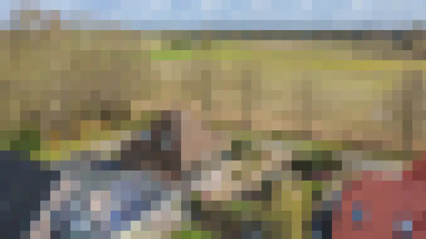 Boerhoorn 9 Vlagtwedde thumbnail 57