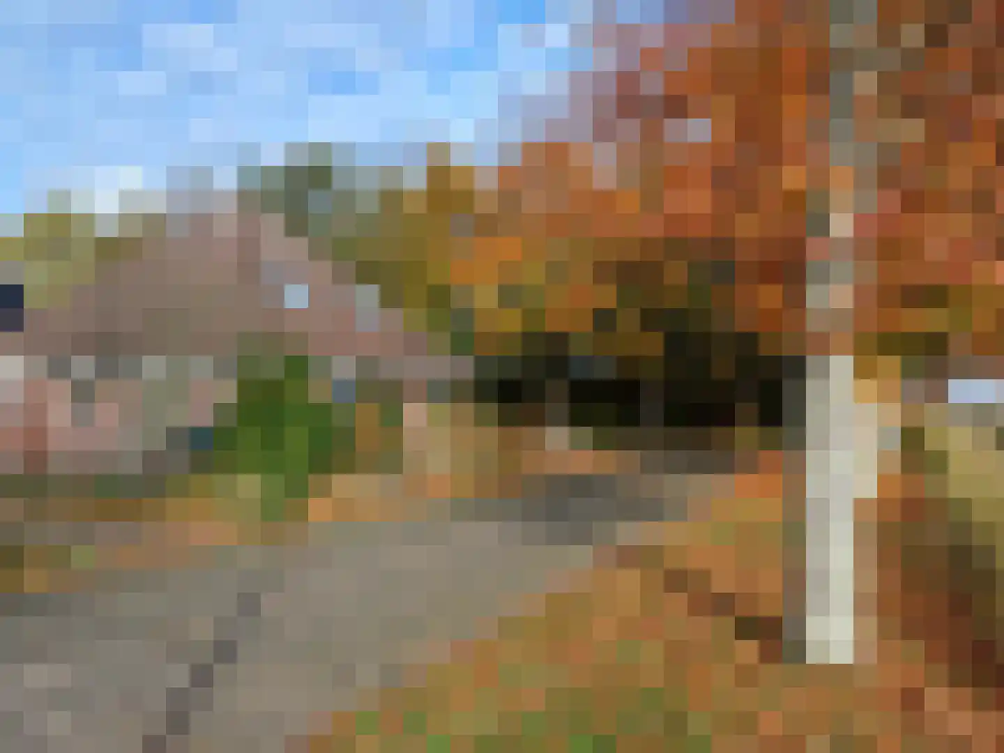Boerhoorn 9 Vlagtwedde thumbnail 6