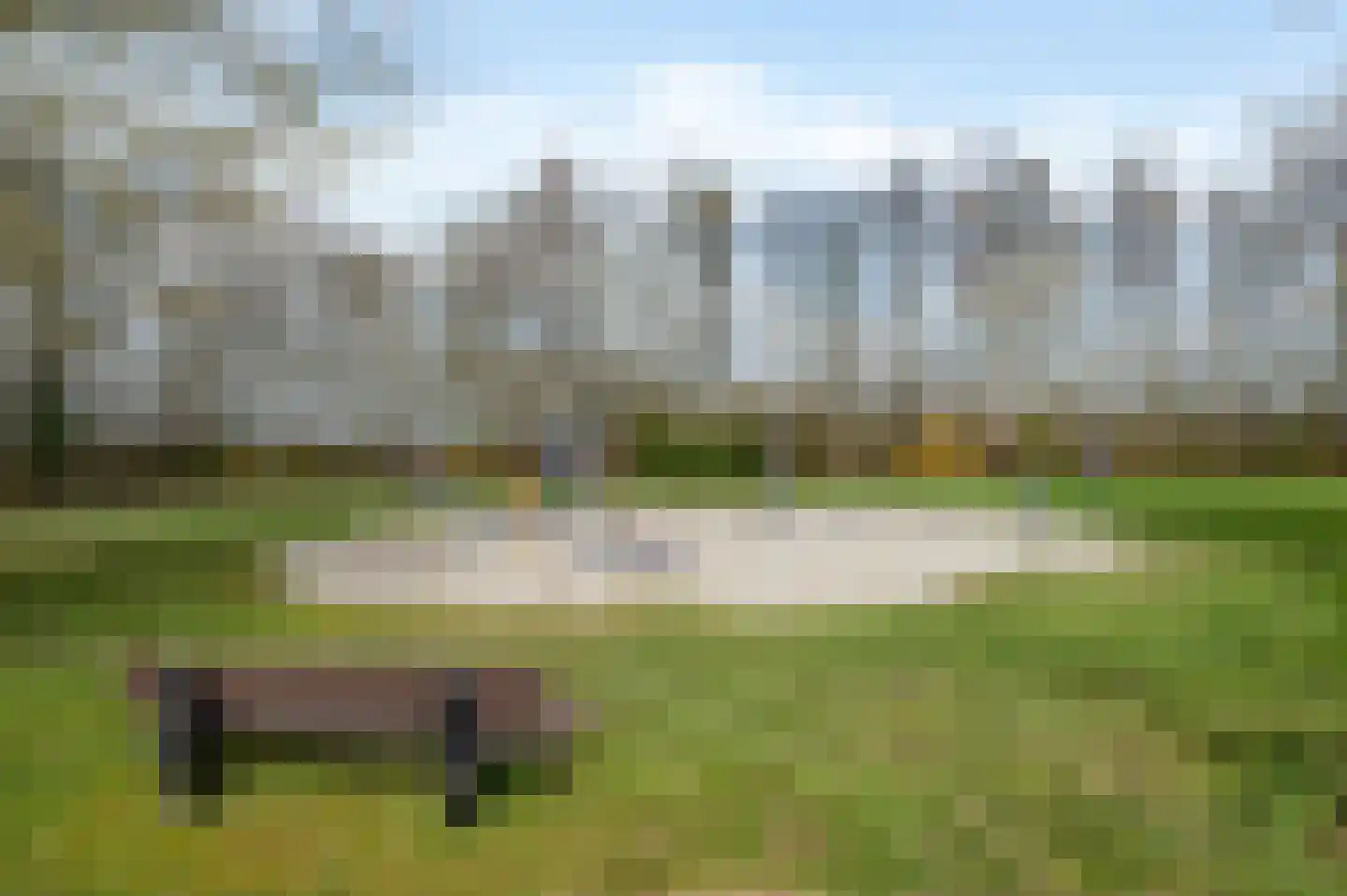 Boerhoorn 9 Vlagtwedde thumbnail 64
