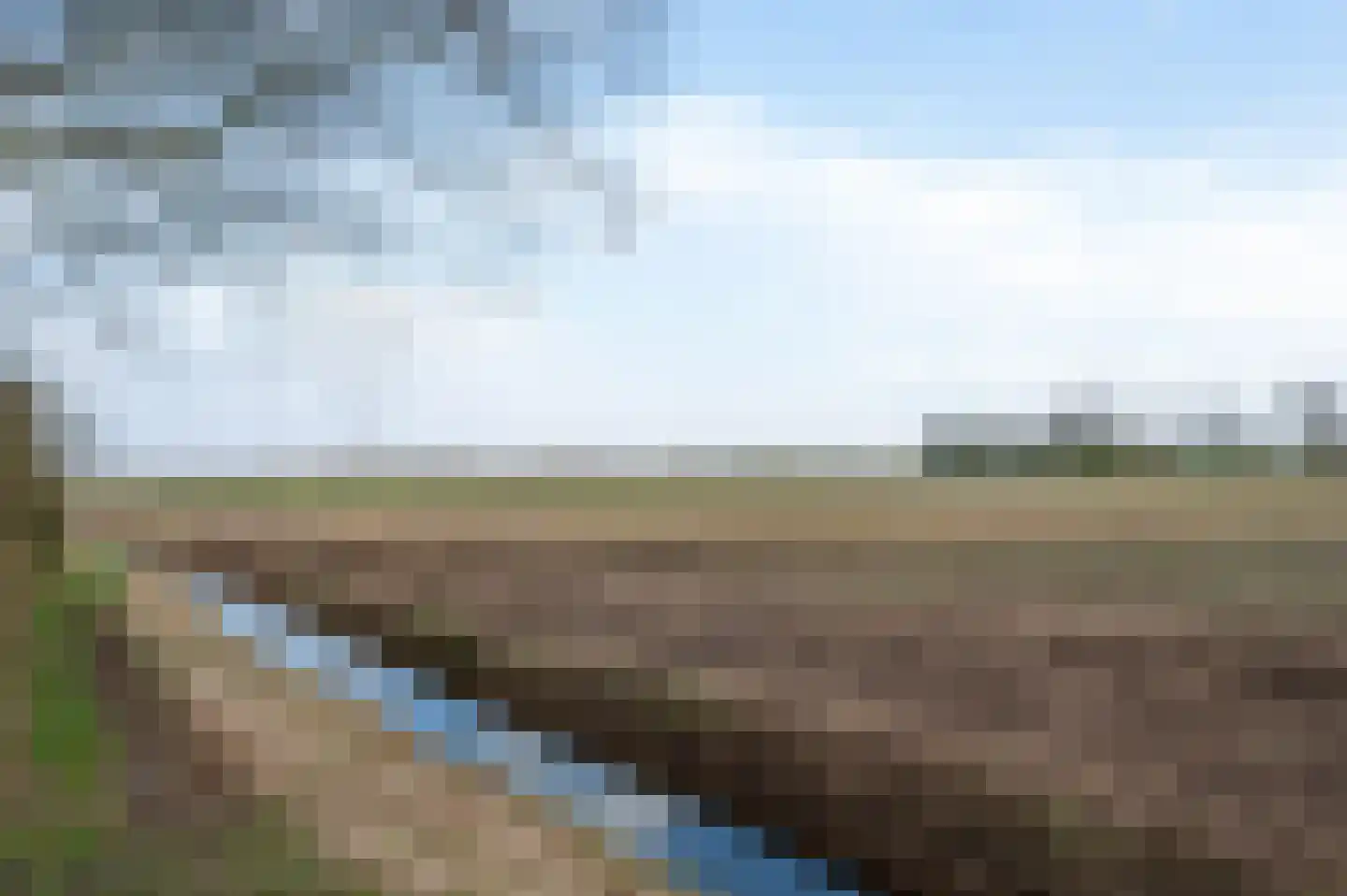 Boerhoorn 9 Vlagtwedde thumbnail 65