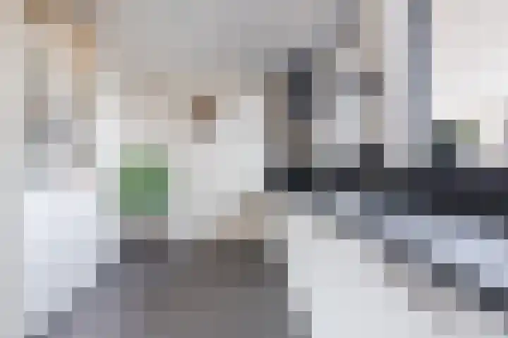 Boerhoorn 9 Vries thumbnail 13